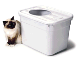 litterbox