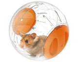 hamsterball